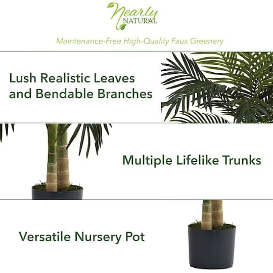 4ft. Potted Golden Cane Palm Tree